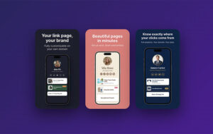 LinkBio Tracker for Wordpress